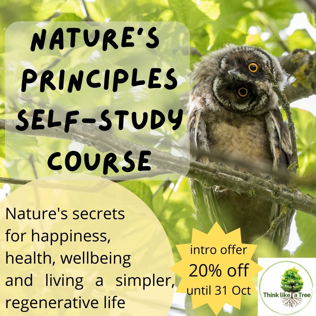 think-like-a-tree-nature-s-principles-self-study-course-think-like